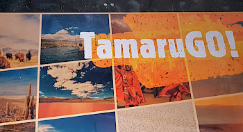 Pantalla de un computador donde se ve el inicio de TamaruGO!