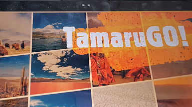 Pantalla de un computador donde se ve el inicio de TamaruGO!