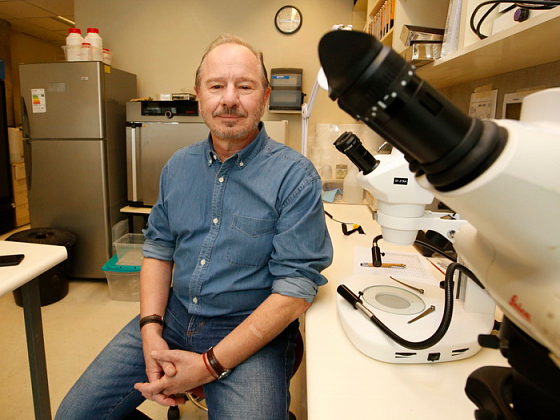 Dr. Bozinovic, nombrado Doctor Honoris Causa por la Universidad Austral de Chile.
