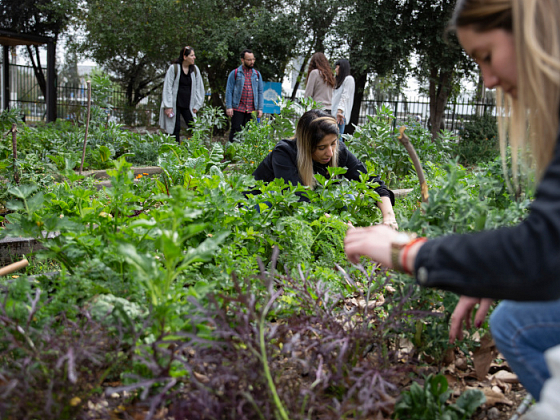 Mujeres cultivando en el Huerto San Francisco UC (Foto: Karina Fuenzalida)
