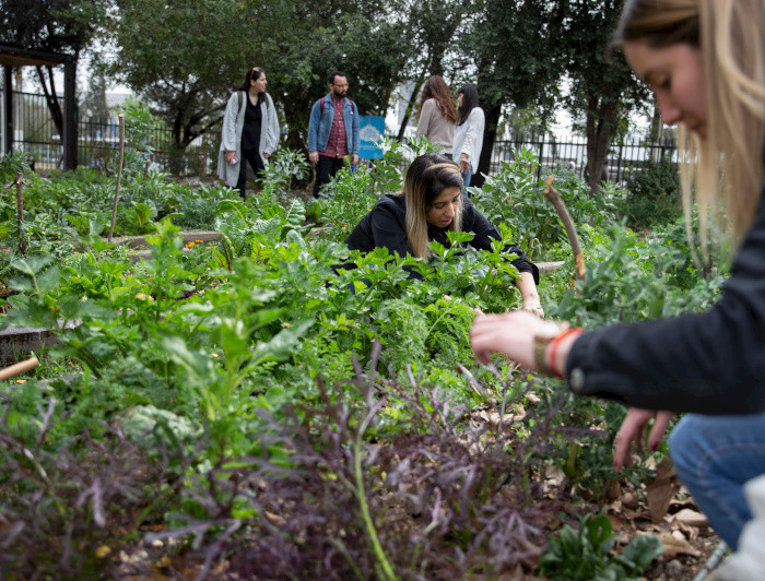Mujeres cultivando en el Huerto San Francisco UC (Foto: Karina Fuenzalida)