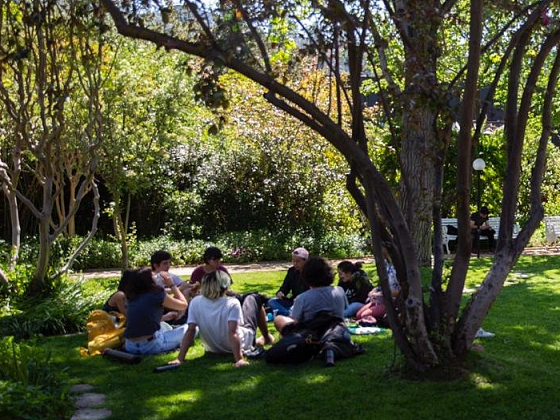 Grupo de alumnos conversando sentados en el pasto.