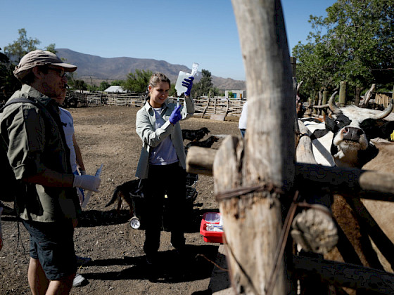 Mujer preparando una solución en un campo con animales.