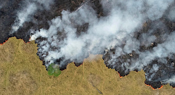 Foto aérea del Amazonas en llamas.