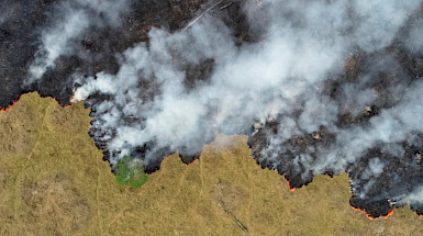 Foto aérea del Amazonas en llamas.