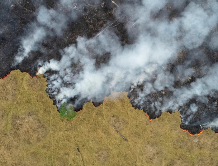 Foto aérea del Amazonas en llamas.