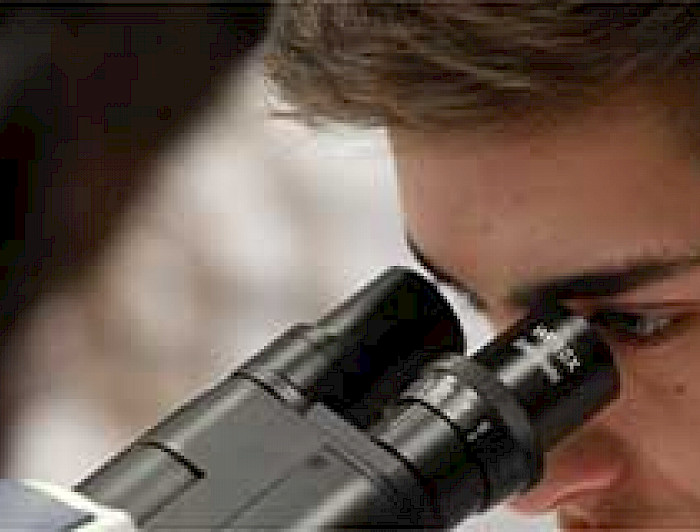 imagen correspondiente a la noticia: "Apoyo a las Ciencias y Humanidades"