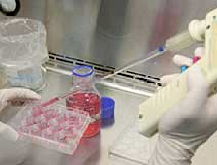 imagen correspondiente a la noticia: "Investigadora UC formará parte de la Organización para la Prohibición de Armas Químicas de la ONU"