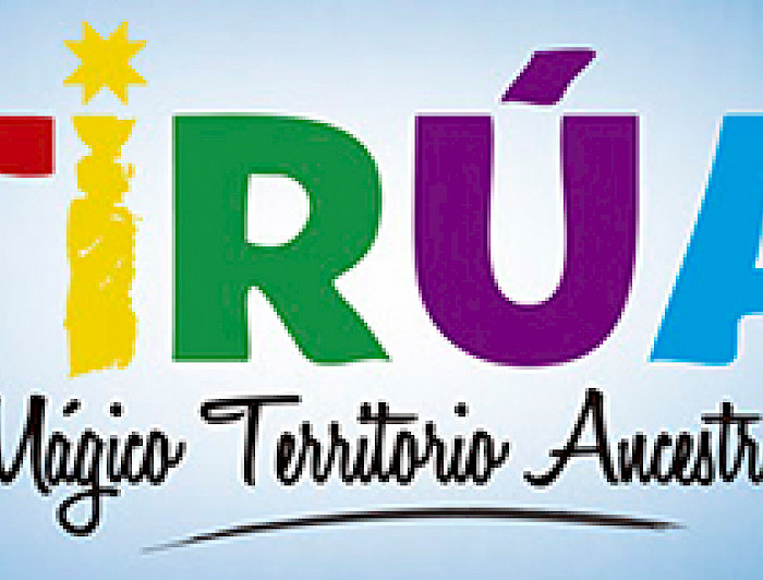 imagen correspondiente a la noticia: "Campus Villarrica realizó talleres para profesores de la localidad de Tirúa"