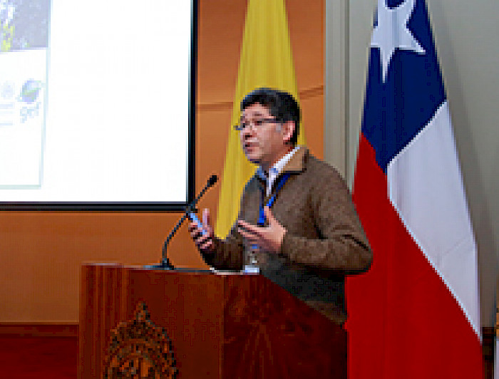 imagen correspondiente a la noticia: "Bosques del centro de Chile aportan a la descontaminación"