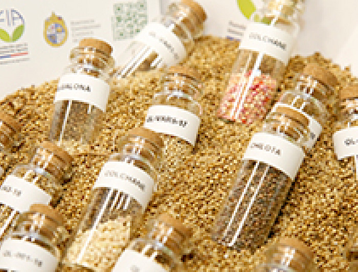 imagen correspondiente a la noticia: "Rector recibe nuevo libro sobre el potencial de la quínoa chilena"