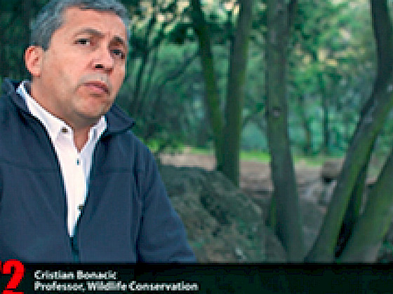 Académico Cristián Bonacic