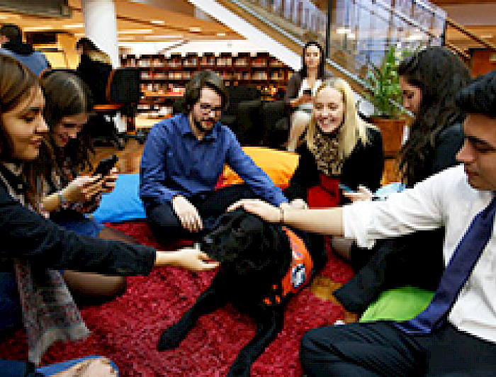 imagen correspondiente a la noticia: "El exitoso del paso de la perrita Zucca por la UC"