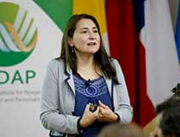 imagen correspondiente a la noticia: "Investigadores dieron a conocer trabajos sobre primera infancia desde la psicología"