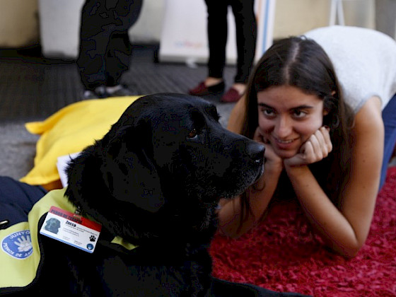 Perrita Zucca, interactuando con estudiantes.