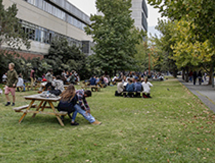 imagen correspondiente a la noticia: "A través de una encuesta: UC invita a estudiantes, académicos y funcionarios a combatir la violencia sexual"