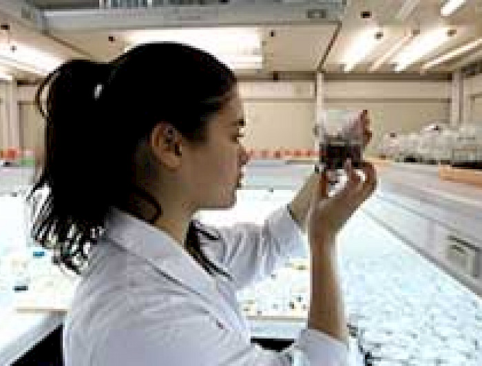 imagen correspondiente a la noticia: "Apoyo bibliográfico a las Ciencias y Humanidades"