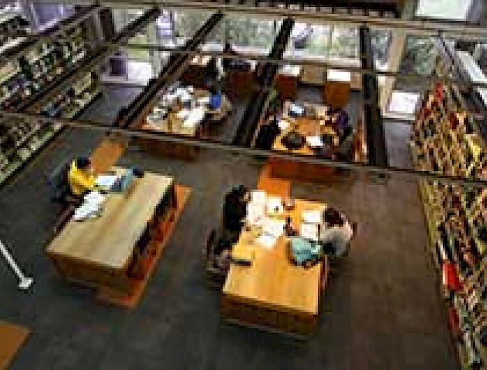 imagen correspondiente a la noticia: "Bibliotecas UC da inicio a proyecto que promueve cultura sustentable"