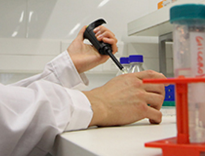 imagen correspondiente a la noticia: "La clonación en el mundo: “El uno y el dos”"