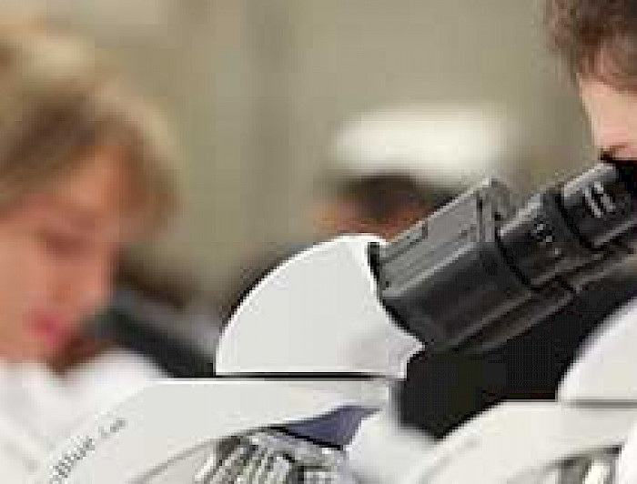 imagen correspondiente a la noticia: "La mujer y su rol clave en el desarrollo de la  universidad"