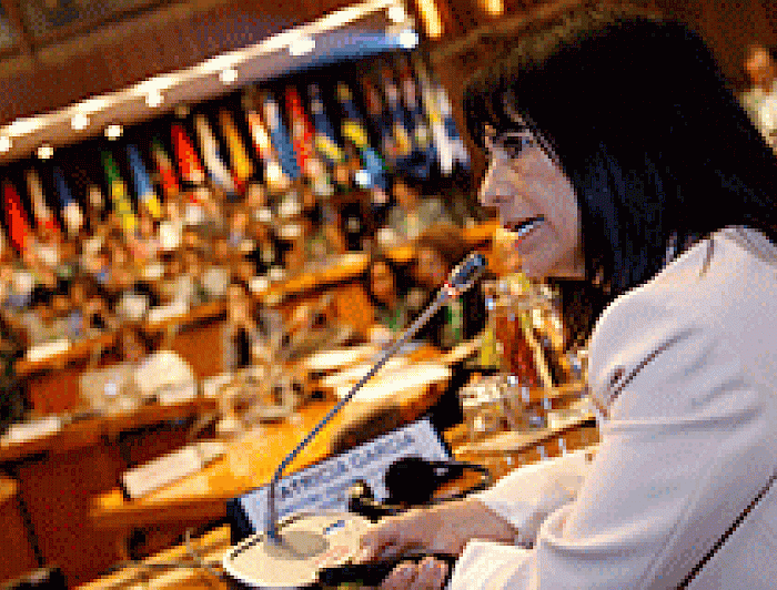 imagen correspondiente a la noticia: "Directora de Desarrollo Académico expuso en importante cumbre internacional sobre equidad de género en la ciencia"