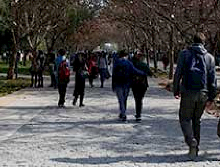 imagen correspondiente a la noticia: "Escuela de Psicología cuenta con nuevo portal para exalumnos"