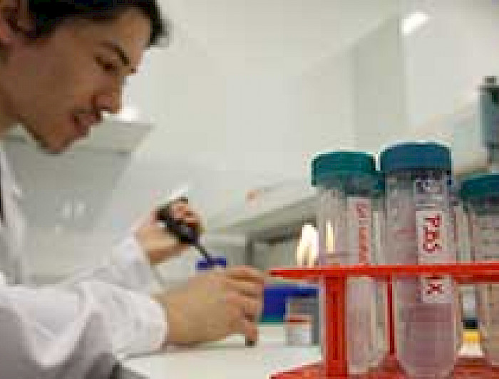 imagen correspondiente a la noticia: "Decisiones que afectan a la ciencia y tecnología"