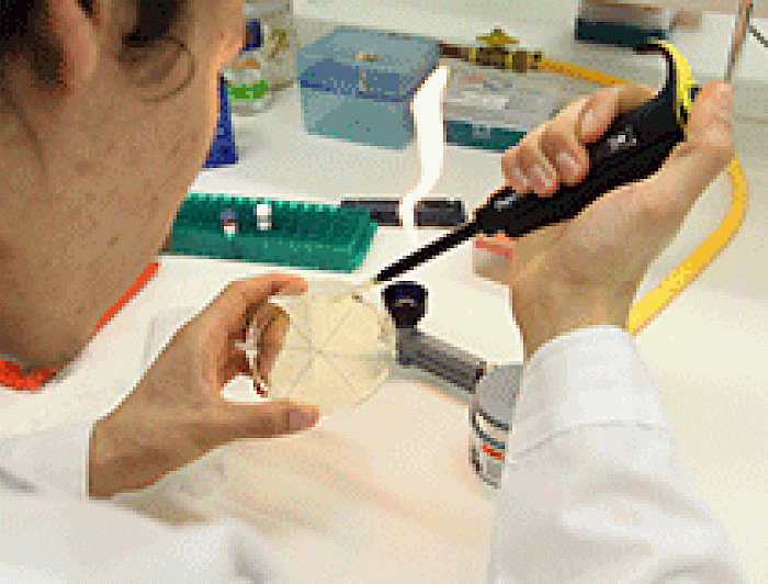 imagen correspondiente a la noticia: "Universidad Católica lideró proyectos de investigación adjudicados en concurso de Fondecyt"