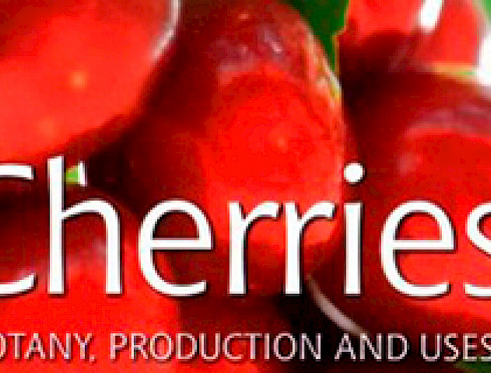 imagen correspondiente a la noticia: "Académicos de Agronomía UC escriben en libro internacional de cerezas"