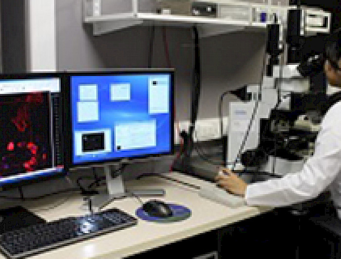 imagen correspondiente a la noticia: "Unidad de Microscopía Avanzada de Medicina abre sus puertas con nuevos equipos"