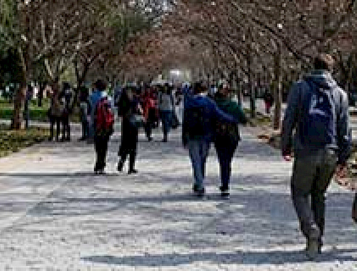 imagen correspondiente a la noticia: "Política de prevención de agresiones sexuales en el contexto universitario de la UC"