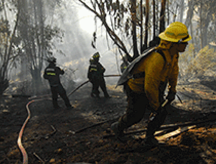 imagen correspondiente a la noticia: "Tecnología chilena contra incendios forestales es finalista en concurso internacional"