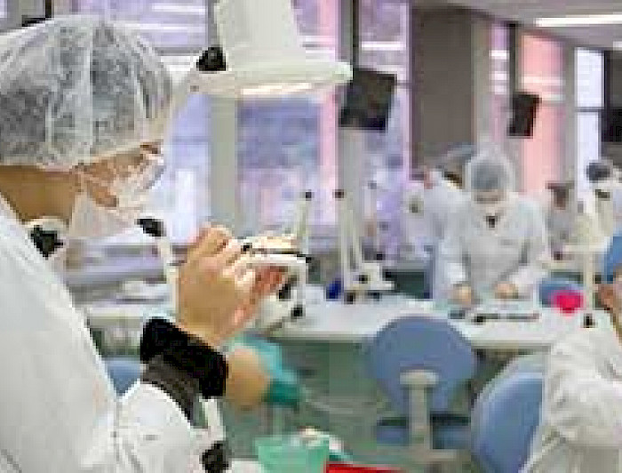 imagen correspondiente a la noticia: "Identidad de la Universidad Católica"