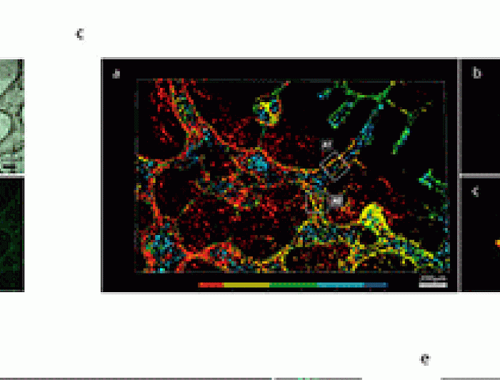 imagen correspondiente a la noticia: "Interdisciplina: Investigadores UC publican artículo en la revista Scientific Reports"