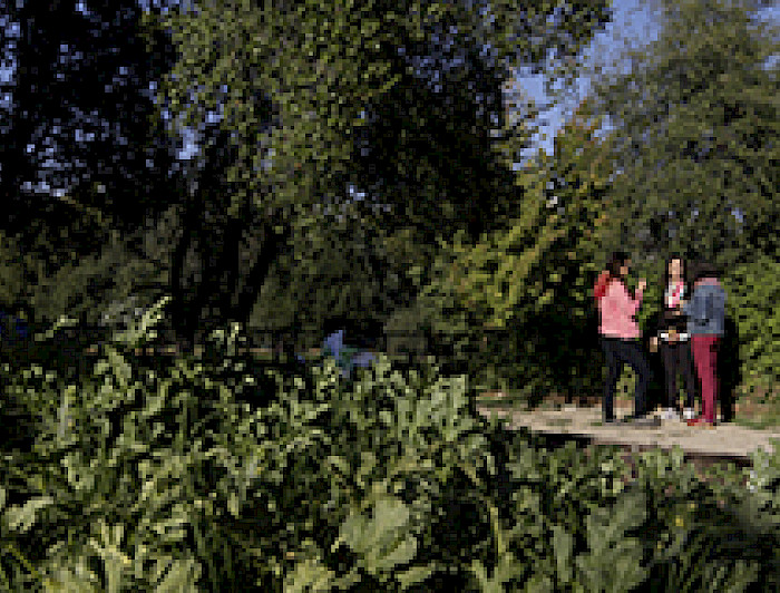 imagen correspondiente a la noticia: "Campus Sustentable, el desafío de involucrarnos en el futuro del planeta"