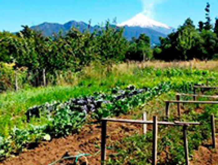 imagen correspondiente a la noticia: "Se protege la huerta andina de La Araucanía como patrimonio biocultural"