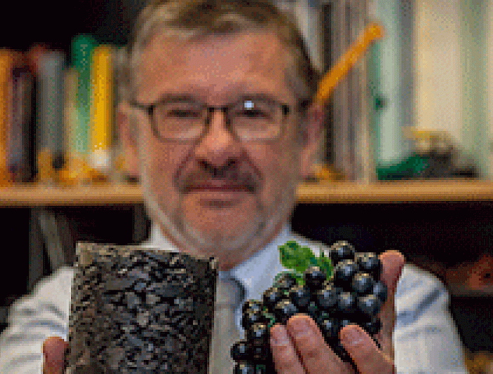 imagen correspondiente a la noticia: "Ingenieros chilenos usan orujos de uvas de vino para reducir daños de pavimentos"
