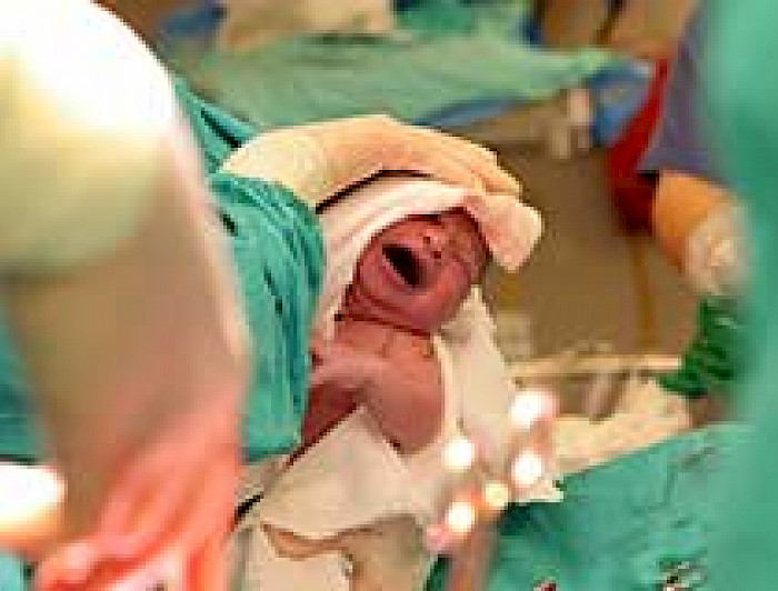 imagen correspondiente a la noticia: "Rector aborda los consensos y disensos en la ley del aborto"