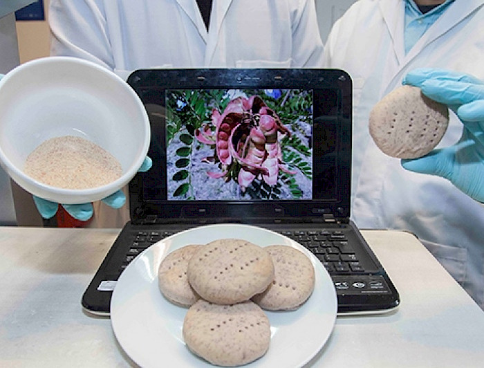 Hallullas en un plato frente al computador que muestra vainas de Tara.