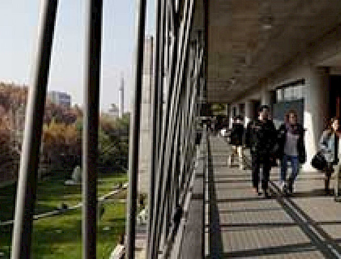 imagen correspondiente a la noticia: "Retiro de patines y Educación Superior"