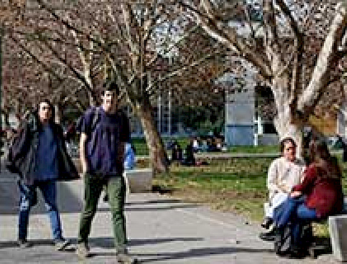 imagen correspondiente a la noticia: "Rector sobre reforma a la educación superior: “Dejará un sistema sobrecontrolado, con poca autonomía y con problemas serios de financiamiento”"