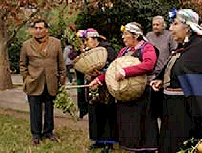 imagen correspondiente a la noticia: "Uno de cada cinco chilenos no indígenas se identifica con causas de Pueblos Originarios"