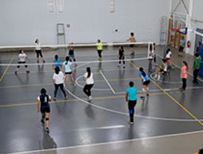 imagen correspondiente a la noticia: "Con la incorporación de nuevas disciplinas se lanza el Plan Deportivo Ingeniería UC 2017"