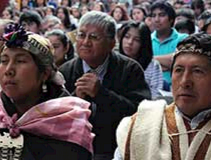 imagen correspondiente a la noticia: "Nuevo software para aprender mapudungun y cultura mapuche fue dado a conocer en Villarrica"