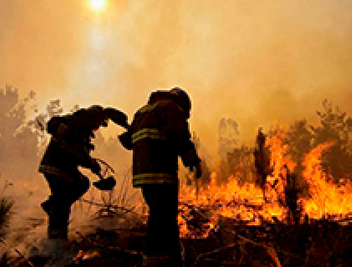 imagen correspondiente a la noticia: "Investigadores de la UC analizan situación de calor e incendios en Chile"