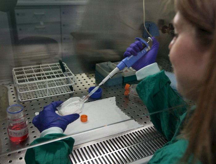 imagen correspondiente a la noticia: "El aporte de los doctores a la creación de conocimiento resulta vital para mejorar la calidad de vida de las personas"