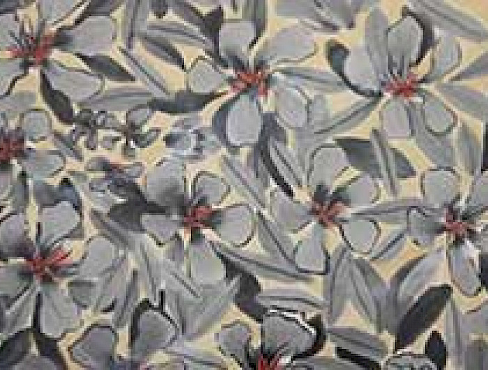 imagen correspondiente a la noticia: "Biblioteca de Humanidades realiza ciclo de aproximación a la cultura japonesa"