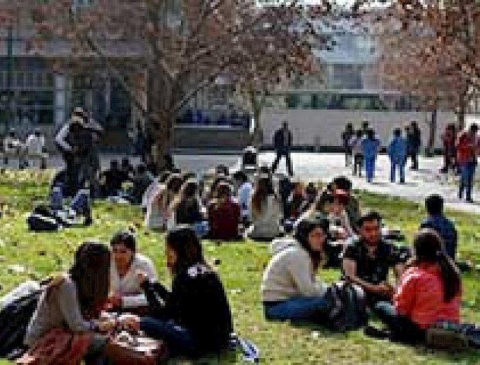 imagen correspondiente a la noticia: "Más de un mes en el parlamento: rector cuestiona el proyecto de reforma a la Educación Superior"