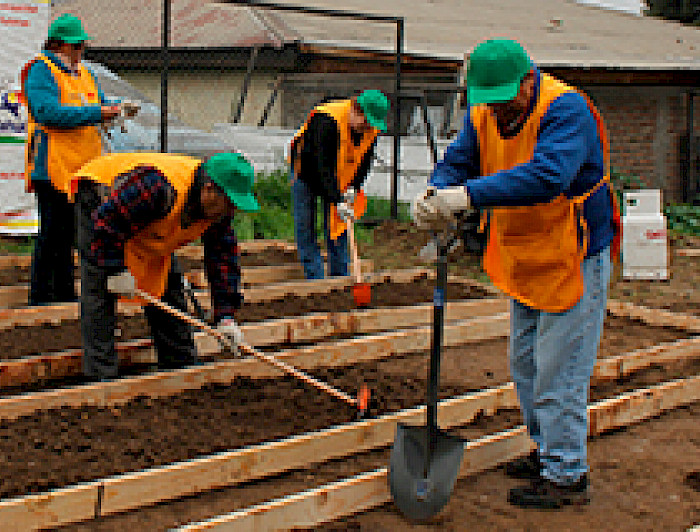 imagen correspondiente a la noticia: "Proyecto Vida Rural UC: instalan huertos familiares en seis comunas capitalinas"