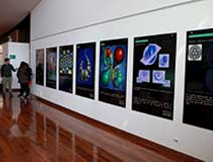 imagen correspondiente a la noticia: "Exposición de Explora y UC vincula ciencia, arte y naturaleza"